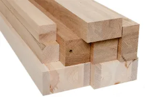 Studiofoto__ 1_18_200x300